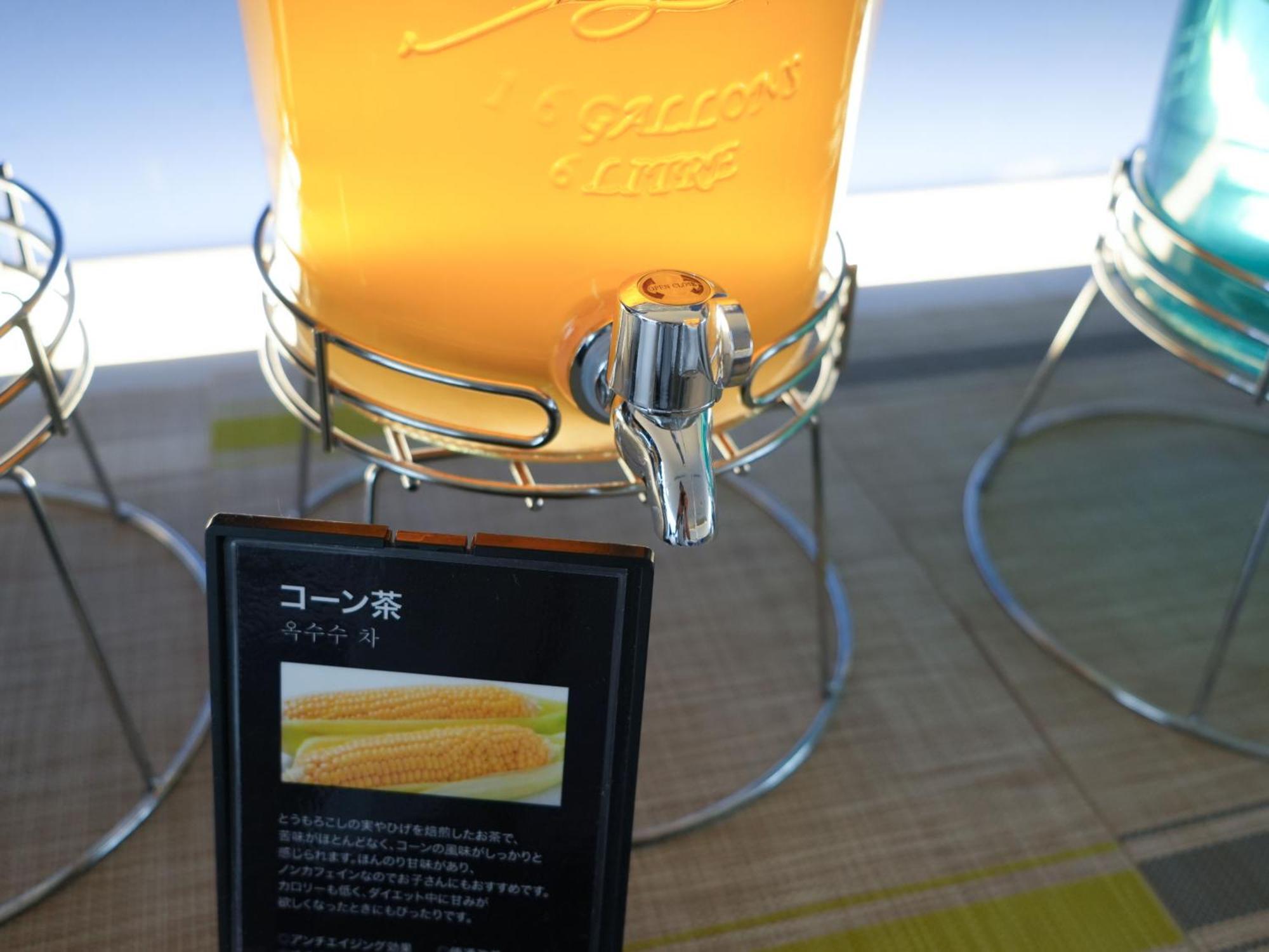 Hotel a capsule Rembrandt Shinjuku Shin-okubo *